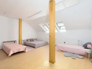Prodej rodinného domu, Cetkovice, Velká Strana, 464 m2
