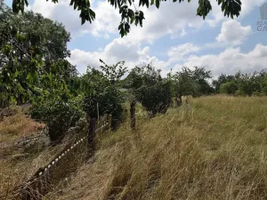 Prodej rodinného domu, Čečelovice, 360 m2