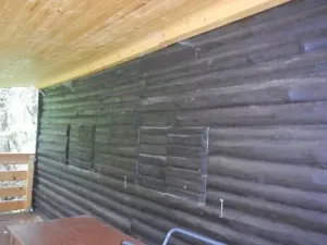 Dražba chaty, Petroupim, 38 m2