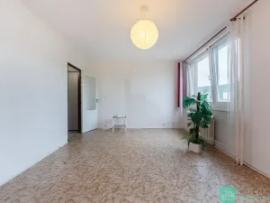 Prodej bytu 1+kk, Teplice, Prosetická, 33 m2