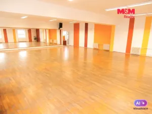 Pronájem obchodního prostoru, Ostrava - Mariánské Hory, Karasova, 335 m2