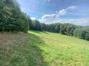 Dražba louky, Sobotín, 10593 m2