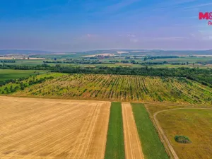 Prodej pole, Rakvice, 21280 m2