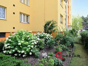Pronájem bytu 2+1, Roztoky, Masarykova, 55 m2