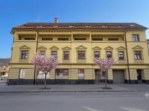 Prodej bytu 1+kk, Brno, Jugoslávská, 29 m2