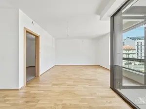 Prodej bytu 3+kk, Praha - Žižkov, Kaplířova, 89 m2
