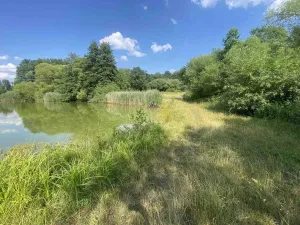Prodej pozemku, Třeboň - Třeboň II, 2756 m2