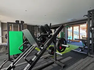 Dražba vícegeneračního domu, Náchod, Komenského, 1000 m2