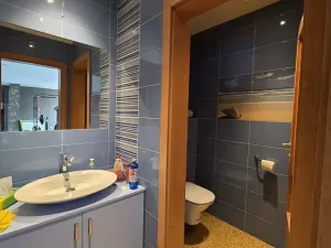 Dražba vícegeneračního domu, Náchod, Komenského, 1000 m2