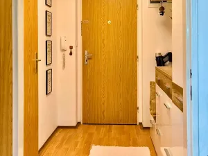 Pronájem bytu 1+kk, Třebíč, Lavického, 38 m2