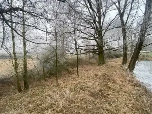 Dražba pole, Slatina, 13059 m2