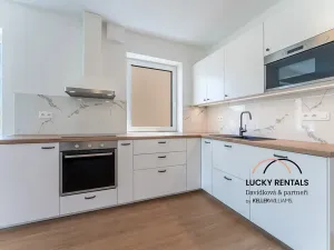 Pronájem bytu 3+kk, Řehenice, 91 m2