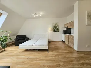 Pronájem bytu 1+kk, Brno, Masarykova, 33 m2