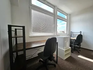 Pronájem bytu, Brno - Zábrdovice, Cejl, 16 m2