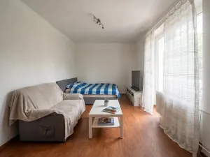 Prodej bytu 2+1, Lovosice, Wolkerova, 52 m2