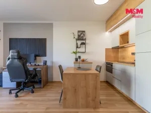 Prodej bytu 1+kk, Prostějov - Čechovice, Na Lukách, 32 m2