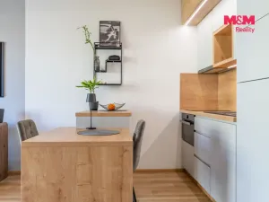 Prodej bytu 1+kk, Prostějov - Čechovice, Na Lukách, 32 m2