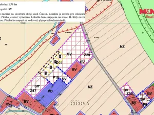 Prodej pozemku pro bydlení, Čermná nad Orlicí - Číčová, 879 m2