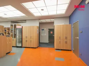 Pronájem obchodního prostoru, Rožnov pod Radhoštěm, Meziříčská, 320 m2