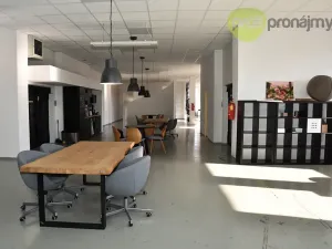 Pronájem obchodního prostoru, Ostrava, Cihelní, 701 m2