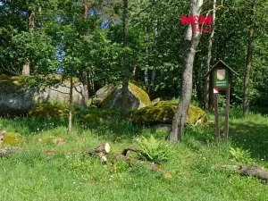 Prodej lesa, Petrovice - Žemličkova Lhota, 7042 m2