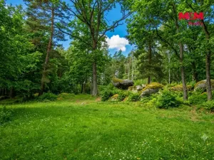 Prodej lesa, Petrovice - Žemličkova Lhota, 7042 m2