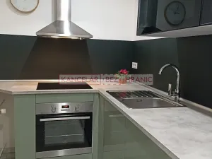 Pronájem bytu 1+1, Ostrava, U Haldy, 40 m2