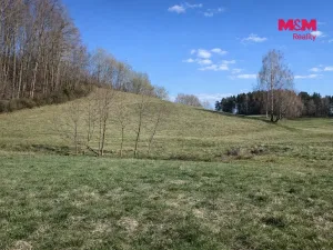 Prodej louky, Janův Důl, 2749 m2
