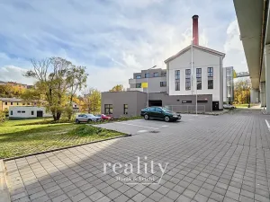 Pronájem bytu 1+kk, Jihlava, Křižíkova, 52 m2