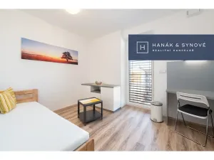 Pronájem bytu 1+kk, Brno, Křenová, 20 m2