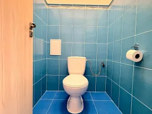 Pronájem bytu 2+kk, Holubice, 67 m2
