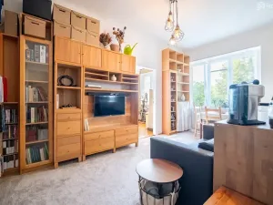 Prodej bytu 1+1, Brno, Pod kaštany, 49 m2