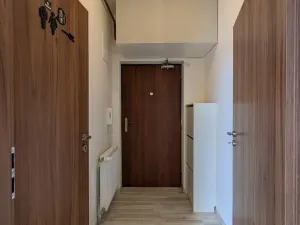 Pronájem bytu 1+1, Brno, Vlhká, 51 m2
