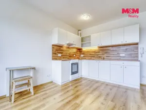 Pronájem bytu 1+kk, Plasy, U Václava, 38 m2