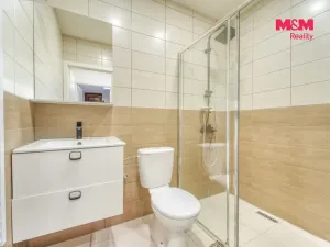 Prodej rodinného domu, Chotěšov, Starý mlýn, 353 m2