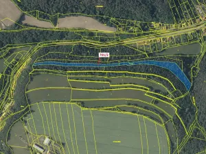Dražba lesa, Lašovice, 10260 m2