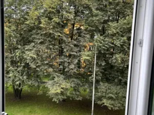 Pronájem bytu 2+kk, Ostrava, Plzeňská, 48 m2