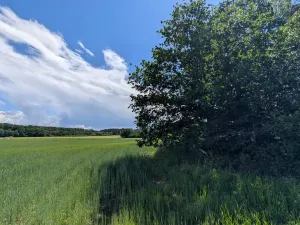 Prodej zahrady, Blovice, 449 m2