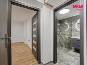 Prodej obchodního prostoru, Plzeň - Východní Předměstí, Ořechová, 26 m2