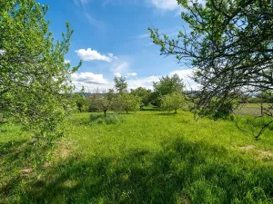 Prodej vily, Hranice, Zahradní, 633 m2