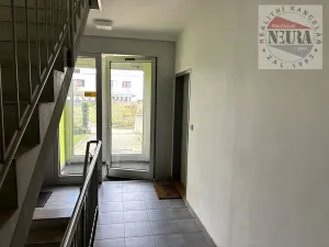 Pronájem bytu 1+kk, Praha - Dolní Počernice, Za luhem, 24 m2
