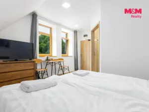 Prodej bytu 1+kk, Horní Lhota, 20 m2