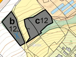Prodej lesa, Olbramice, 4170 m2