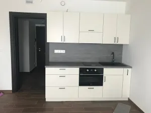 Pronájem bytu 1+kk, Olomouc, Třída Jiřího Pelikána, 35 m2