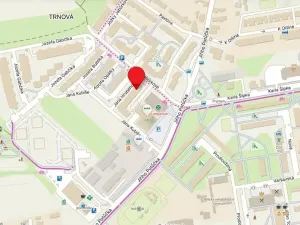 Pronájem bytu 1+kk, Pardubice, Jana Hrubého, 33 m2