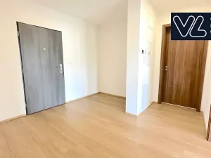 Pronájem bytu 1+1, Brno, Křenová, 72 m2