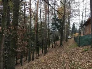 Prodej chaty, Doudleby, 50 m2