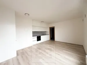 Pronájem bytu 2+kk, Praha - Kamýk, Hodkovická, 45 m2