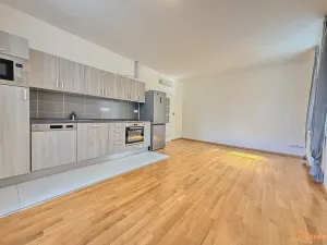 Pronájem bytu 2+kk, Praha - Staré Město, Národní, 52 m2
