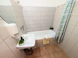 Pronájem bytu 2+1, Mladá Boleslav, Havlíčkova, 65 m2